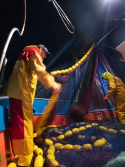 Cotte A Bretelles Drembib HybridPro+ -Marin Costumes Boutique p 500 6 fr original